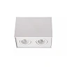 TUBE ceiling spotlight 2-light square 2xGU10 50W white (Lucide)