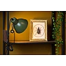 MOYS clamp lamp 1xE27 green (Lucide)