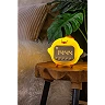Rechargeable children's night light PINCHA DUCK, LED 1.5 W, 2100 K, yellow (Lucide)