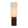 Lucide FRANCES floor lamp E27 100 cm white