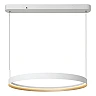 Lucide RADIANT LED pendant light 60W CCT IP20 white