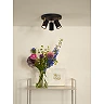 Ceiling spotlight "GRONY", 3x GU10, black, matt gold, brass - 17998-15-30 (Lucide)