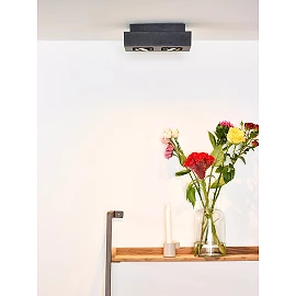 XIRAX GU10 ceiling spotlight 2x5W 2200-3000K, black (Lucide)