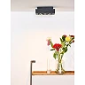 XIRAX GU10 ceiling spotlight 2x5W 2200-3000K, black (Lucide)