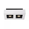 XIRAX GU10 ceiling spotlight 2x5W 2200-3000K, white (Lucide)