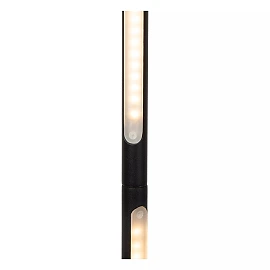 FINAN LED floor lamp 32 W 2700 K dimmable black (Lucide)