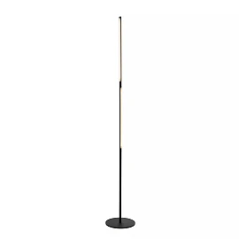 FINAN LED floor lamp 32 W 2700 K dimmable black (Lucide)