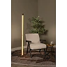 JANDERIN floor lamp 2x17W champagne (Lucide)