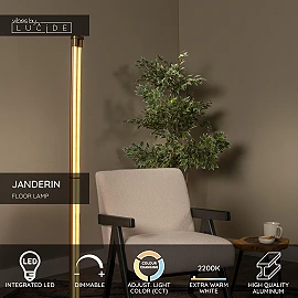 JANDERIN floor lamp 2x17W champagne (Lucide)