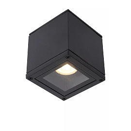 Bathroom ceiling spotlight "AVEN", 1x GU10 - 22963-01-30 (Lucide)
