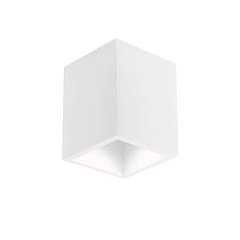 Ceiling surface light, white, 1x GU10, Optionica, 2074