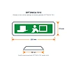Down-arrow evacuation sticker for emergency light 7201 (Optonica 7212)