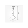 Outdoor pendant lamp E27 IP44 black aluminium/glass (OPTONICA)