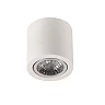 Ceiling surface light, white, 1x GU10, Optionica, 2074