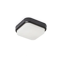 TARIS SQ 17 surface-mounted lamp black, LED 8W 3000K (Rendl)