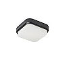 TARIS SQ 17 surface-mounted lamp black, LED 8W 3000K (Rendl)