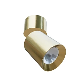 DARIO ceiling spotlight brushed brass, GU10 9W (Rendl)