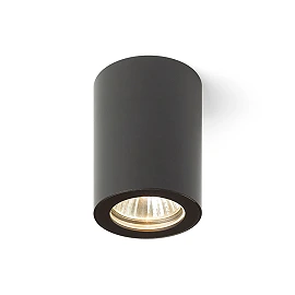 Vannas istabas griestu gaismeklis LOLA 88, 1×GU10, IP54, melns (Rendl light studio)