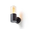QUINN WALL outdoor wall lamp black amber glass, E27 11W (Rendl)