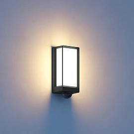 STEINEL L 42 SC — LED outdoor wall light with motion sensor (anthracite, 3000 K, IP54, Bluetooth)