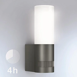 Outdoor sensor wall lamp L 605 LED - Steinel