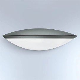 STEINEL L 825 SC — Outdoor downlight with iHF sensor & Bluetooth (anthracite)