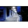STEINEL DL Vario Quattro PRO S LED sensorplafons, 14 W, 1430 lm, 4000 K, balts, IP54 — 068196