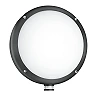 STEINEL L 330 S LED sienas sensorlampa, 8,4 W, 815 lm, 3000 K, antracīta — 053079