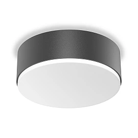 STEINEL RS PRO A10 SC LED sensor wall/ceiling light, Bluetooth, 10.7 W, 1172 lm, 4000 K, IP54, anthracite — 085308