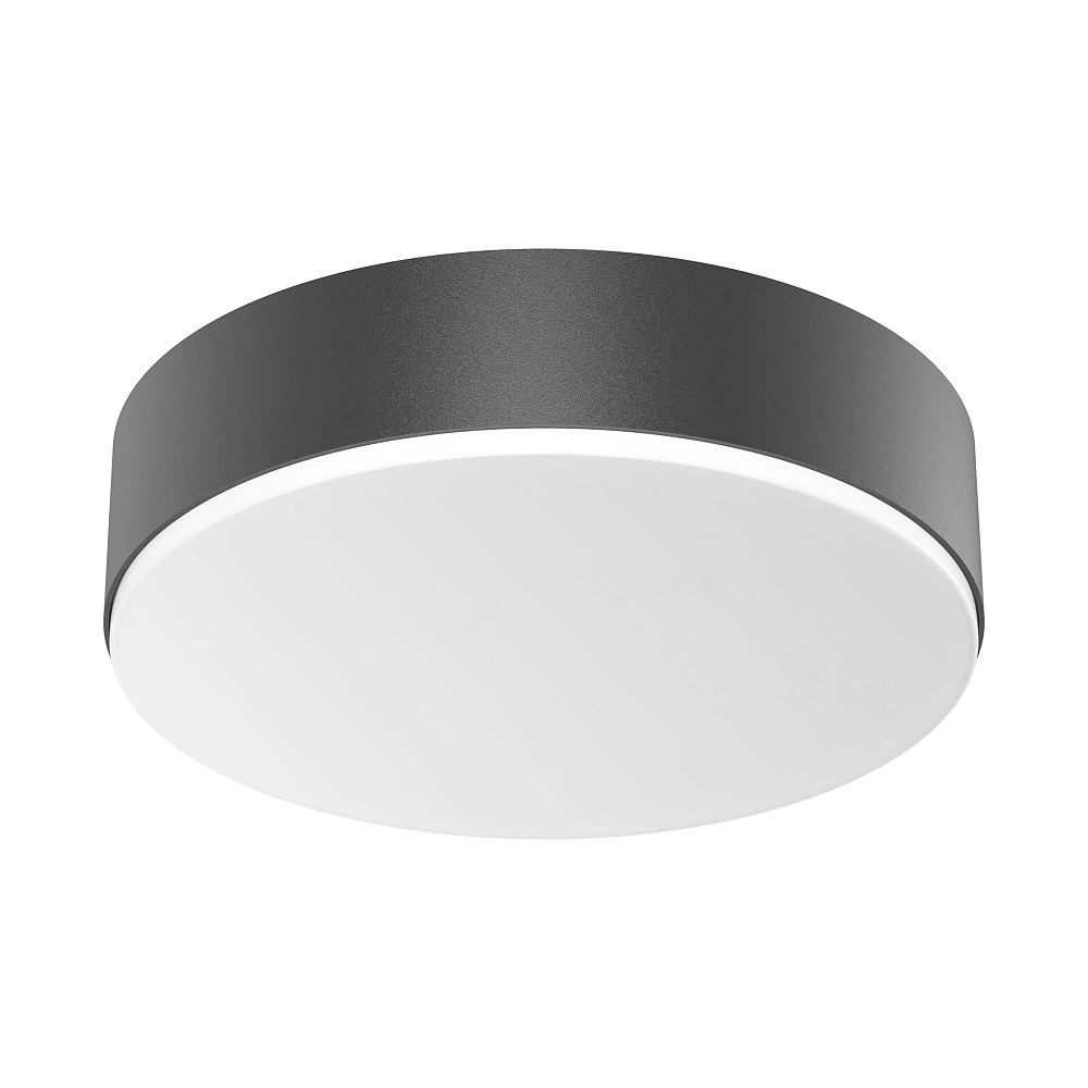 STEINEL RS PRO A20 SC LED sensor wall/ceiling light, Bluetooth, 12.4 W, 1427 lm, 3000 K, IP54, anthracite — 085339