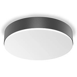 STEINEL RS PRO A30 SC LED sensor wall/ceiling light, Bluetooth, 20.7 W, 2534 lm, 3000 K, IP54, anthracite — 085353