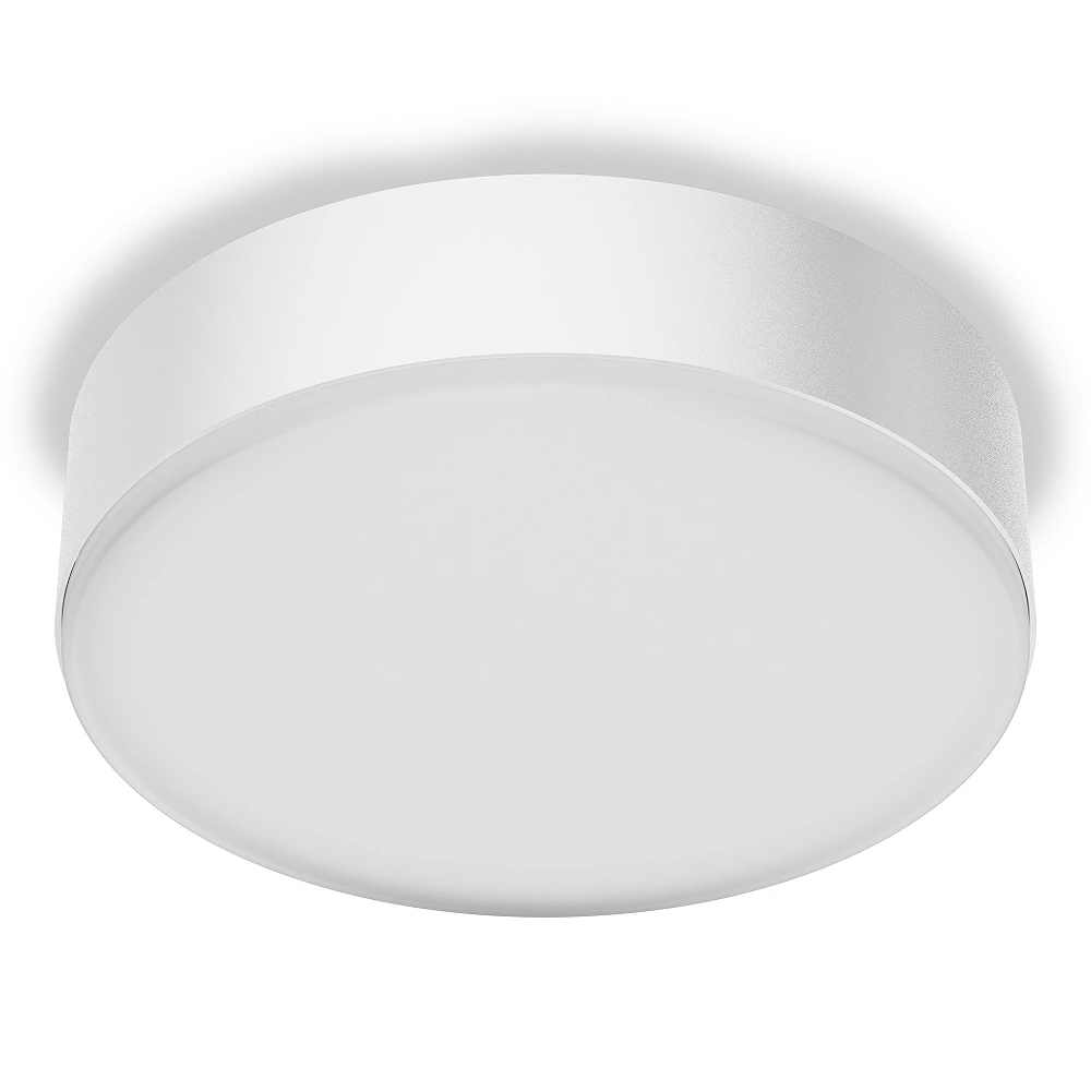 STEINEL RS PRO A20 SC LED sensor wall/ceiling light, Bluetooth, 12.4 W, 1514 lm, 4000 K, IP54, white — 088323