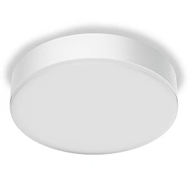 STEINEL RS PRO A30 SC LED sensor wall/ceiling light, Bluetooth, 20.7 W, 2745 lm, 4000 K, IP54, white — 088347