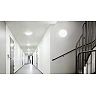 STEINEL RS PRO S30 SC PMMA LED sienas/griestu sensorlampa, Bluetooth, 25,8 W, 2747 lm, 4000 K, IP20, sudraba — 068042