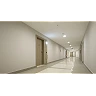 STEINEL IS 345 PIR kustību sensors gaiteņiem, 360°, līdz 23 × 6 m, balts
