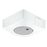 STEINEL Light Sensor Dual DALI-2 IPD AP virsapmetuma gaismas sensors, 2–1000 lx, IP54, kvadrātveida, balts — 057411