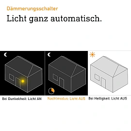 STEINEL L 22 N outdoor wall light with twilight sensor, E27, max. 60 W, anthracite — 065782