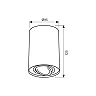 DL700 W TOLEDO surface ceiling light white, GU10 35W (VIVALUX)