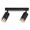 Linear ceiling spotlight KING 220 × 55 × 165 mm, 2×GU10, black (VIVALUX)