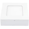 6W, LED panelis, 450Lm, ar pārslēdzamu gaismas toni, 100° - DL2539