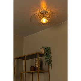 Lucide ELLIS flush ceiling light Ø50 cm, 1xE27, taupe