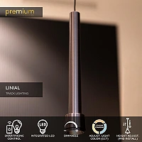 Lucide LINIAL TUBIZ 48 V piekaramā lampa 8 W CCT, gunmetal