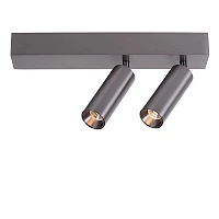 Lucide BIXX LED griestu prožektors 2×8 W CCT, satīna tumši pelēkā krāsā