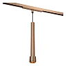 Lucide LINIAL TUBIZ 48V pendant light LED 8W CCT, champagne