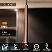Lucide LINIAL TUBIZ 48V piekaramā lampa LED 8W CCT, šampanieša