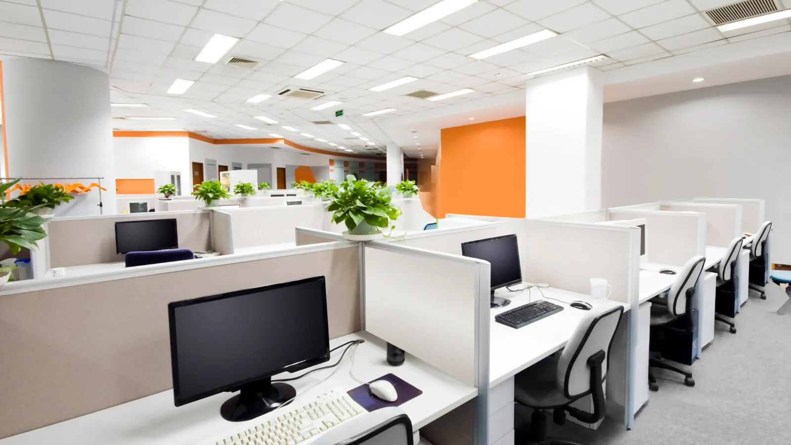 DualTech family office application example; the electrical version in the photograph is not identified.